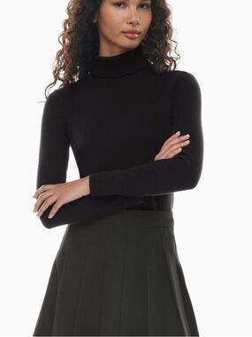 Aritzia Sunday best turtle neck thin longsleeve  top